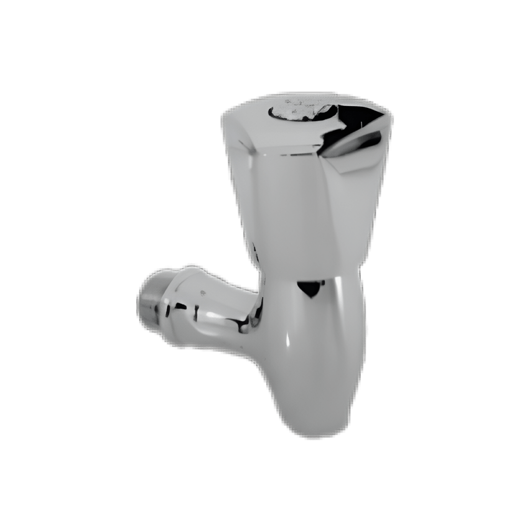 Masjid Cock with Head